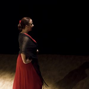 Olga_Blanco_Soprano-Palau_de_la_musica_Valencia